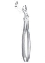Fig. 67 ½R upper third molars right 